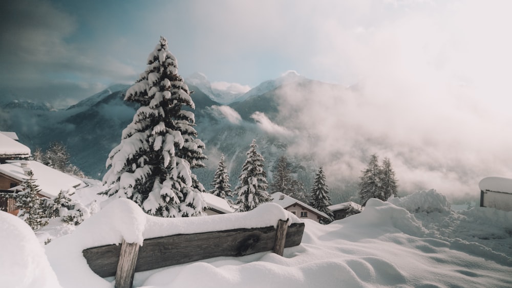 Montañas y árboles cubiertos de nieve durante el día