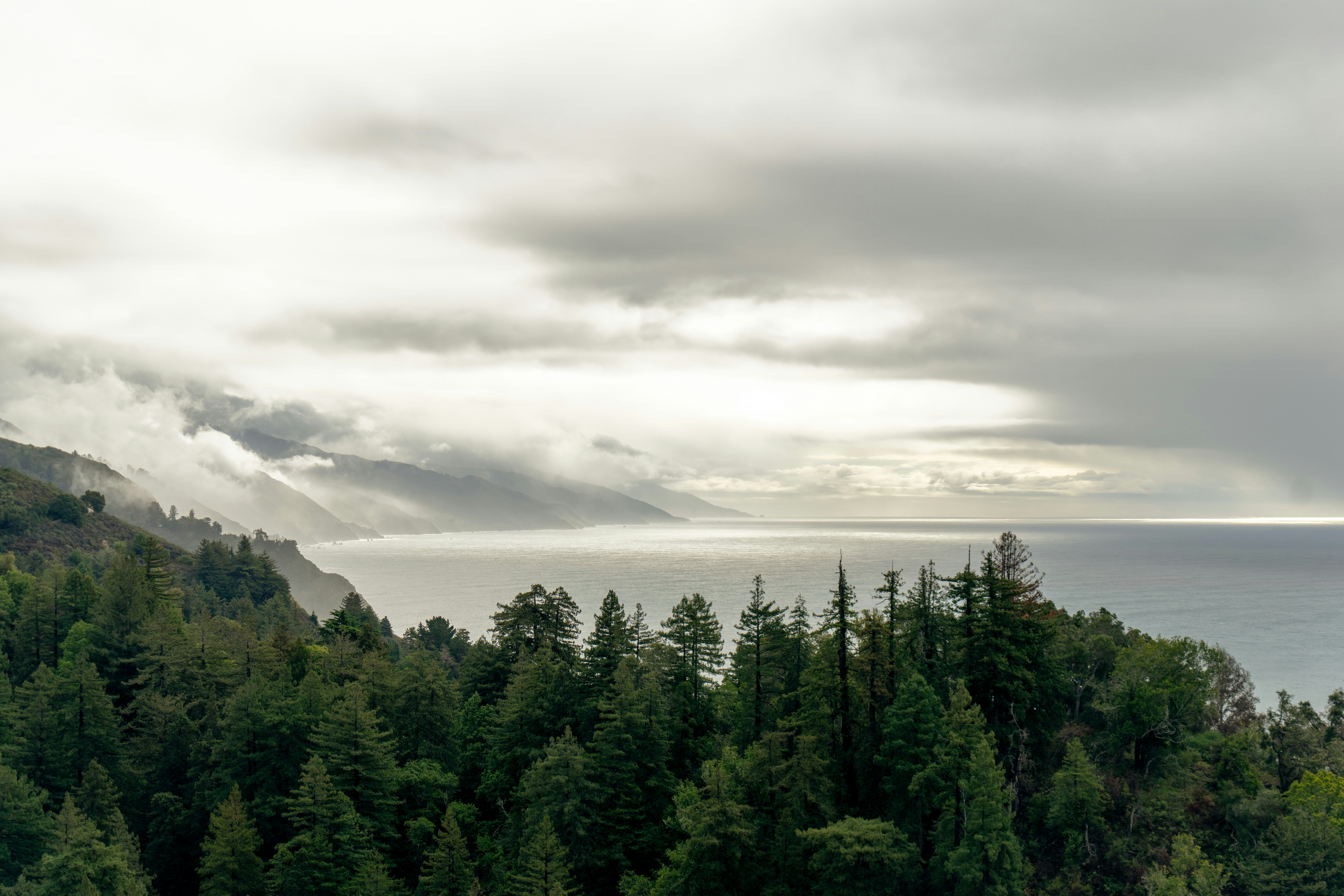 Photo by georgeallancox