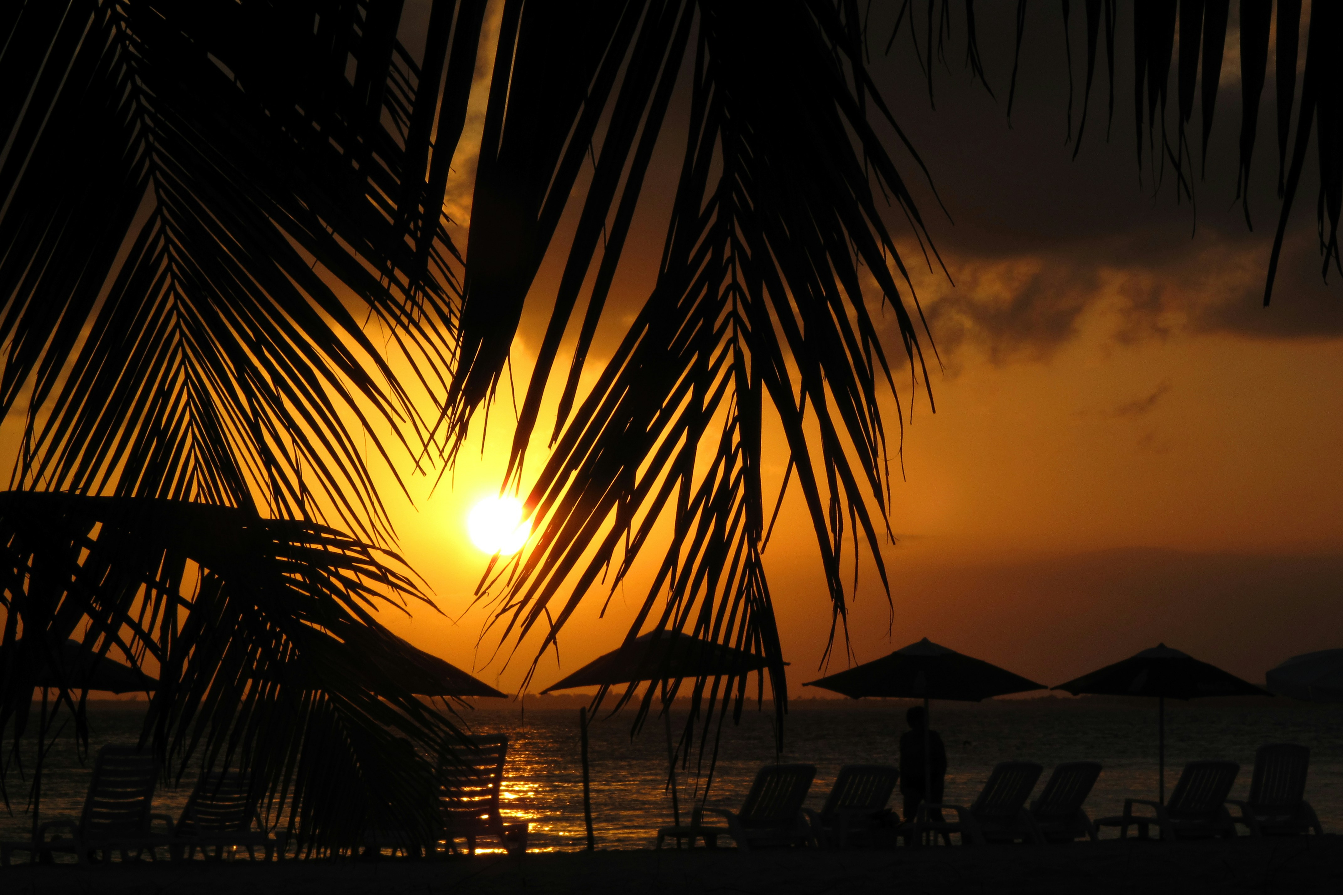 Image de Vibrez au Sea Lounge Ritual 2025, le club éphémère face à la mer