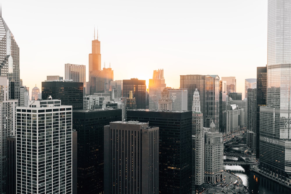 high rise buildings at daytime