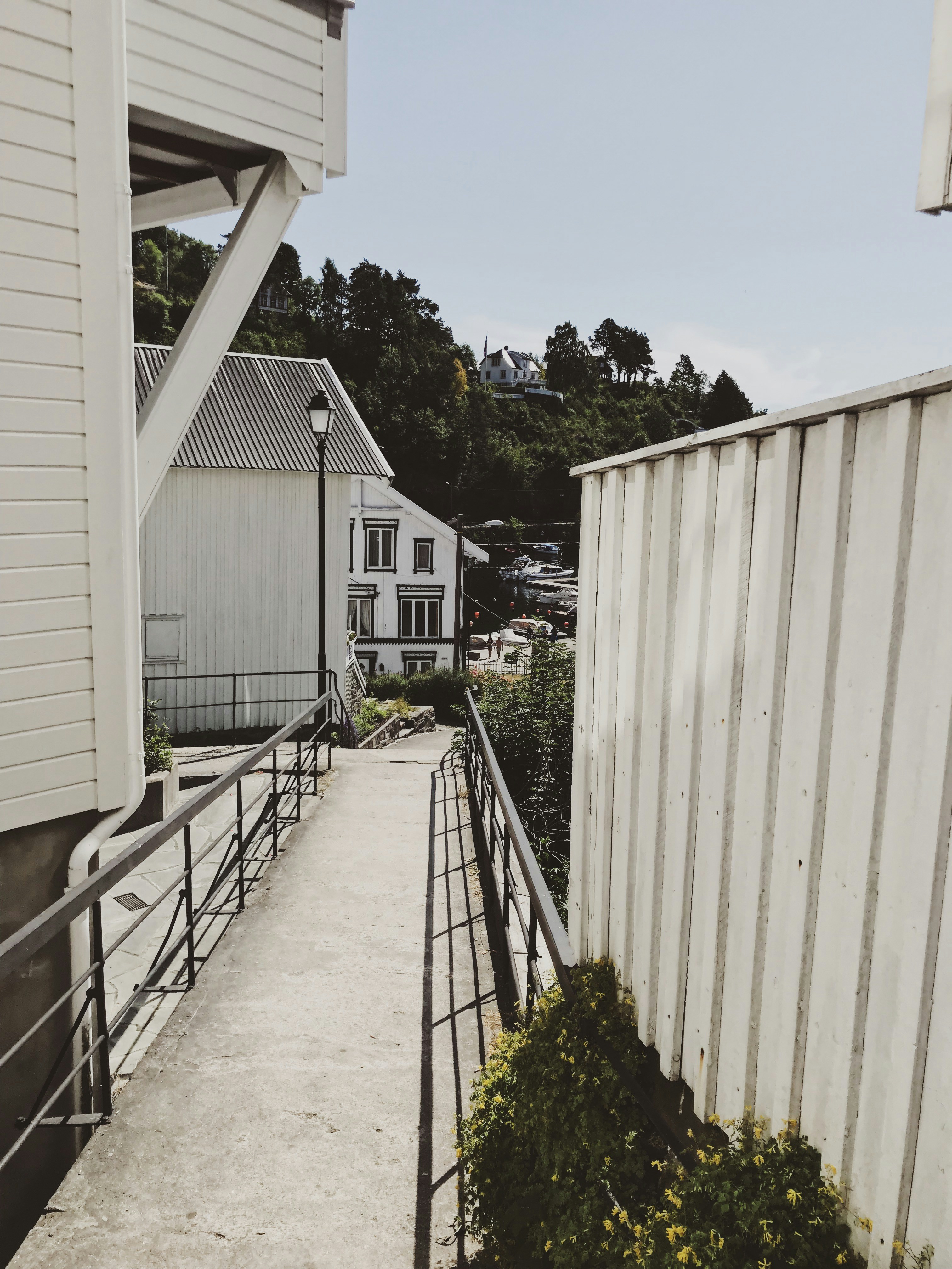white house near green-leafed trees