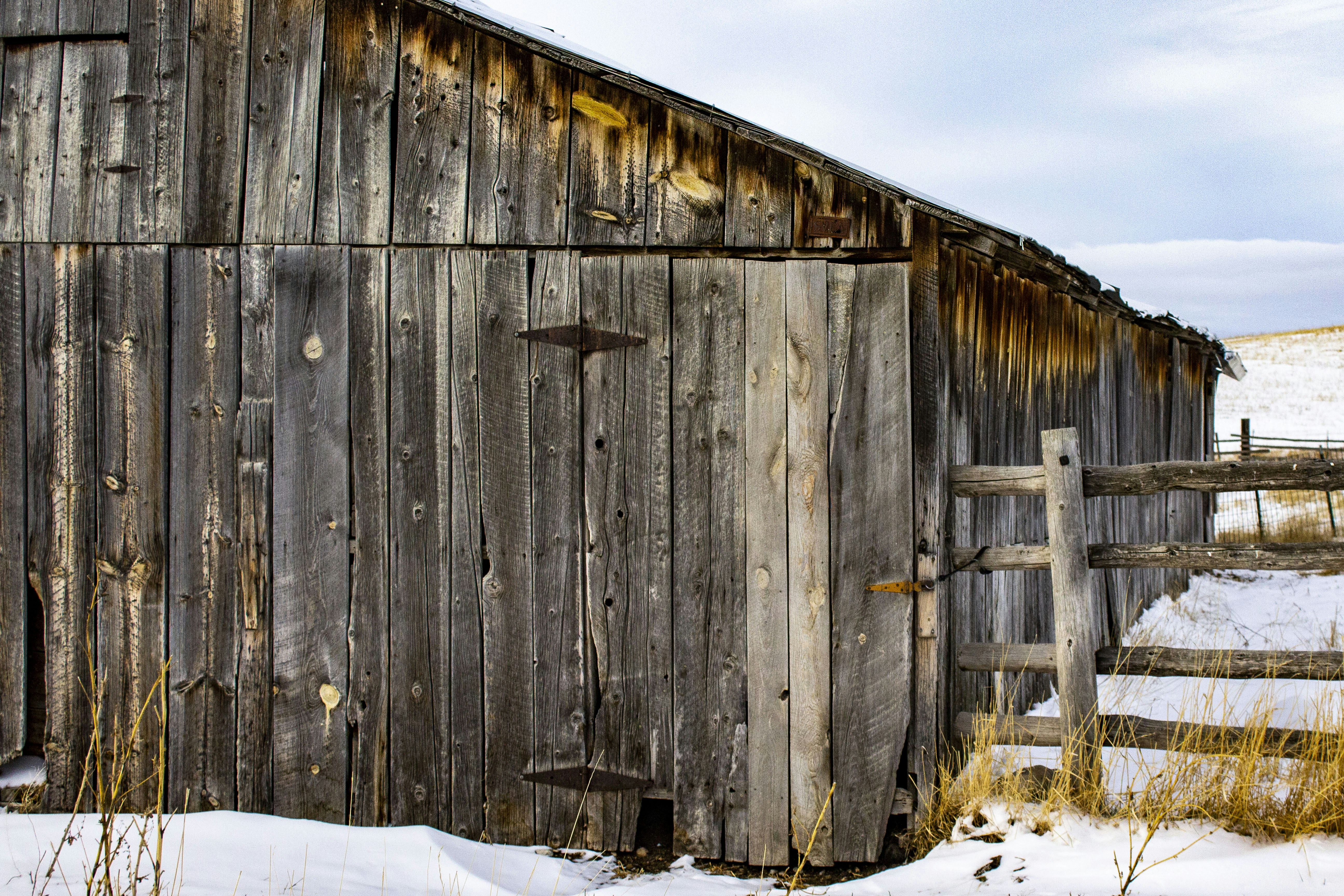 photo-1547411245-ced62cf80020?ixlib=rb-1.2.1&ixid=eyJhcHBfaWQiOjEyMDd9&auto=format&fit=crop&w=1500&q=80
