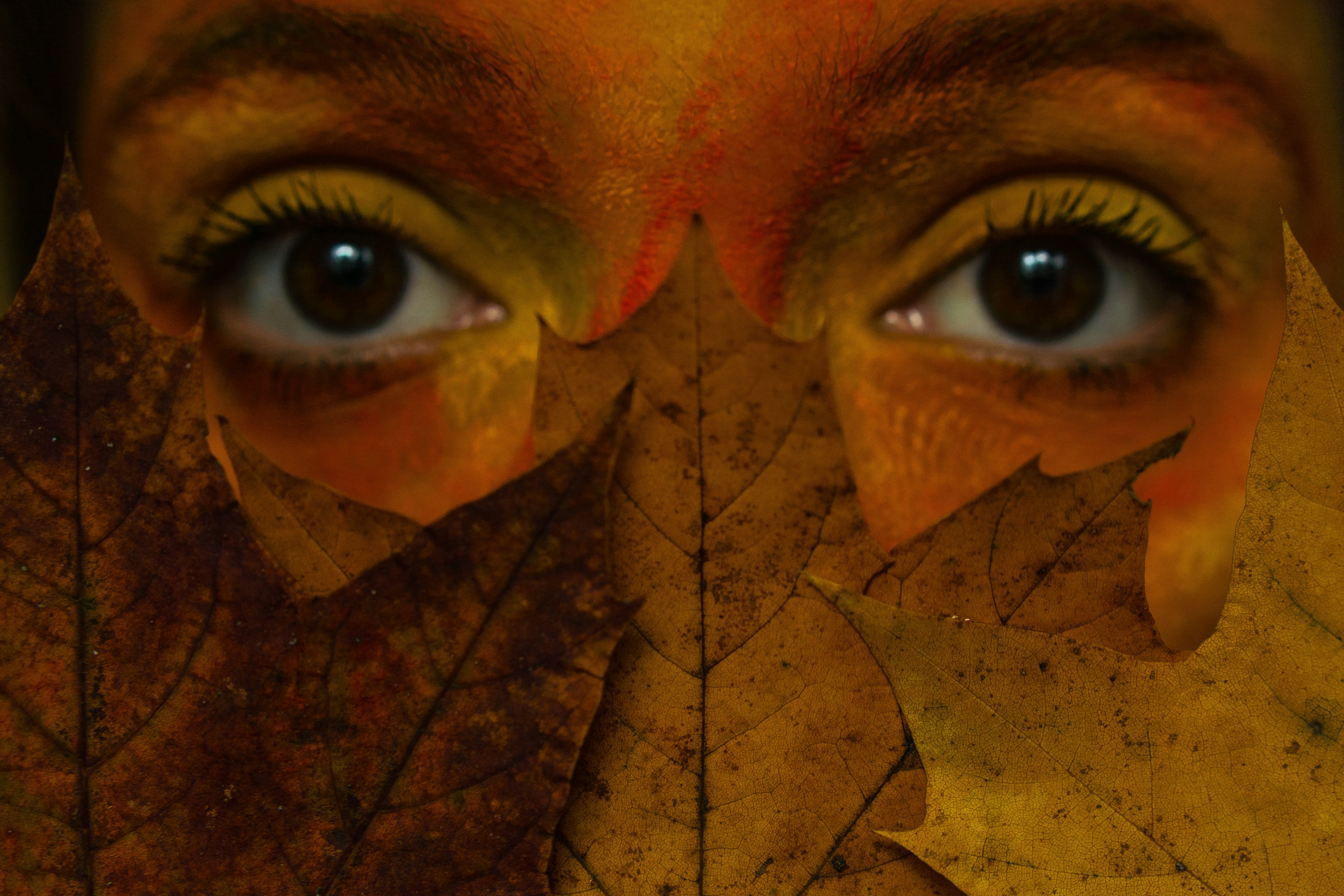 브라운아이드소울 콘서트 예매 티케팅 관련 이미지2