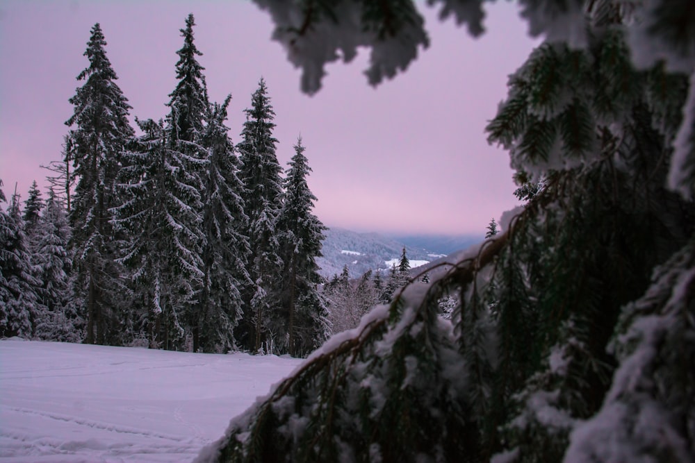 snow covered mountain under gray sky at daytime