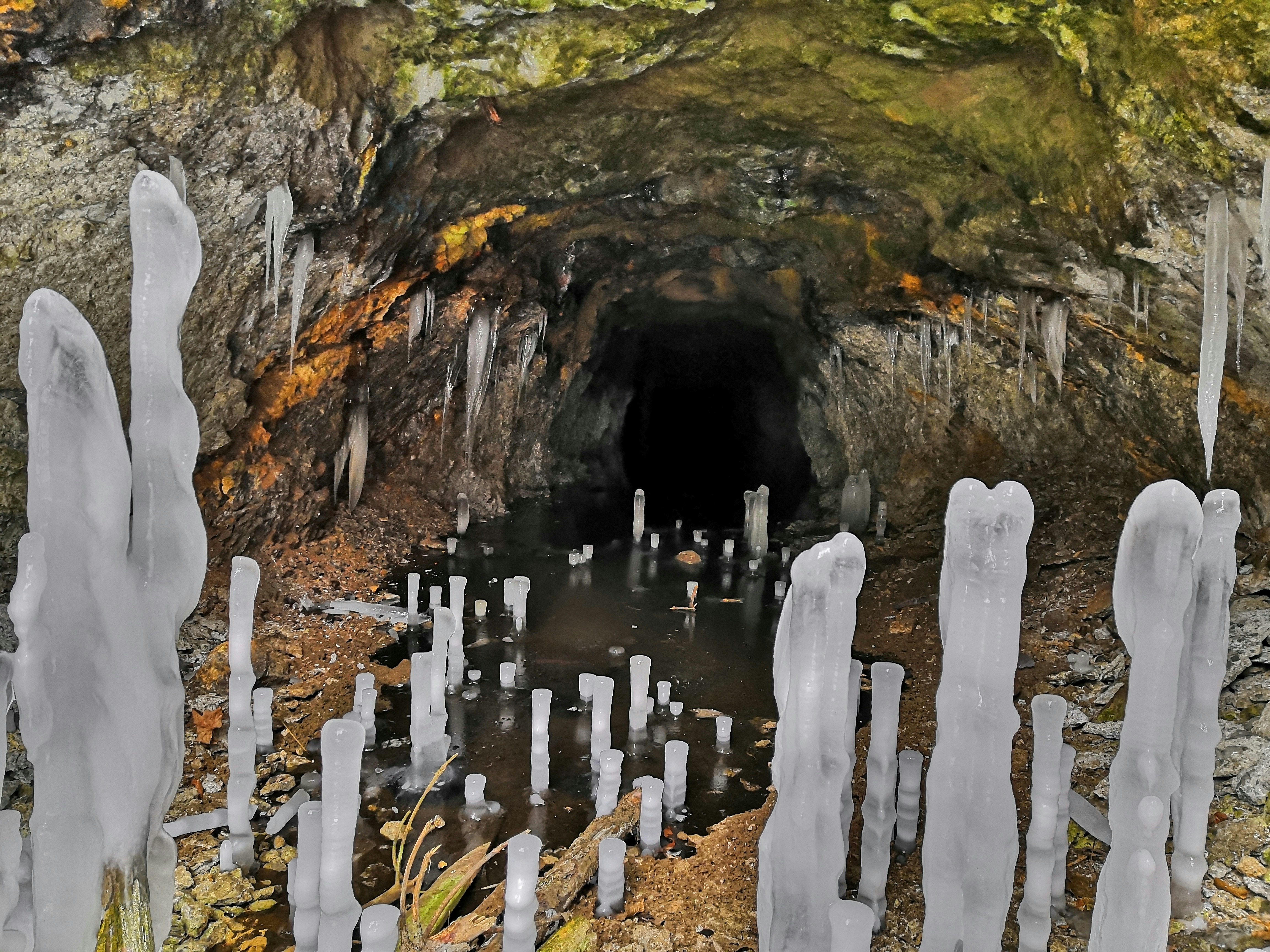 Future Research Directions and Possibilities (image credits: unsplash)