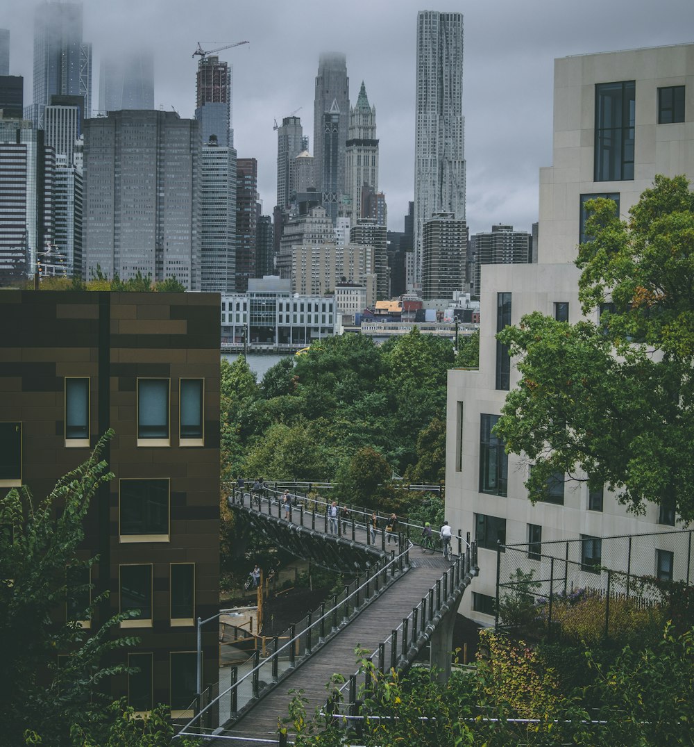 bridge near trees during daytime