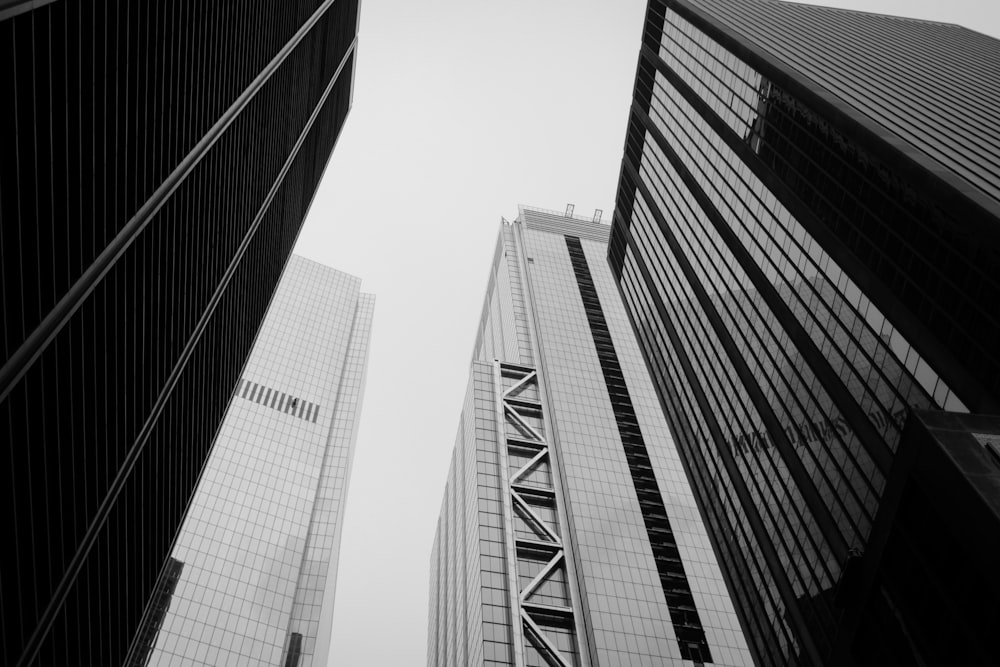 Fotografía en escala de grises de edificios de muros cortina