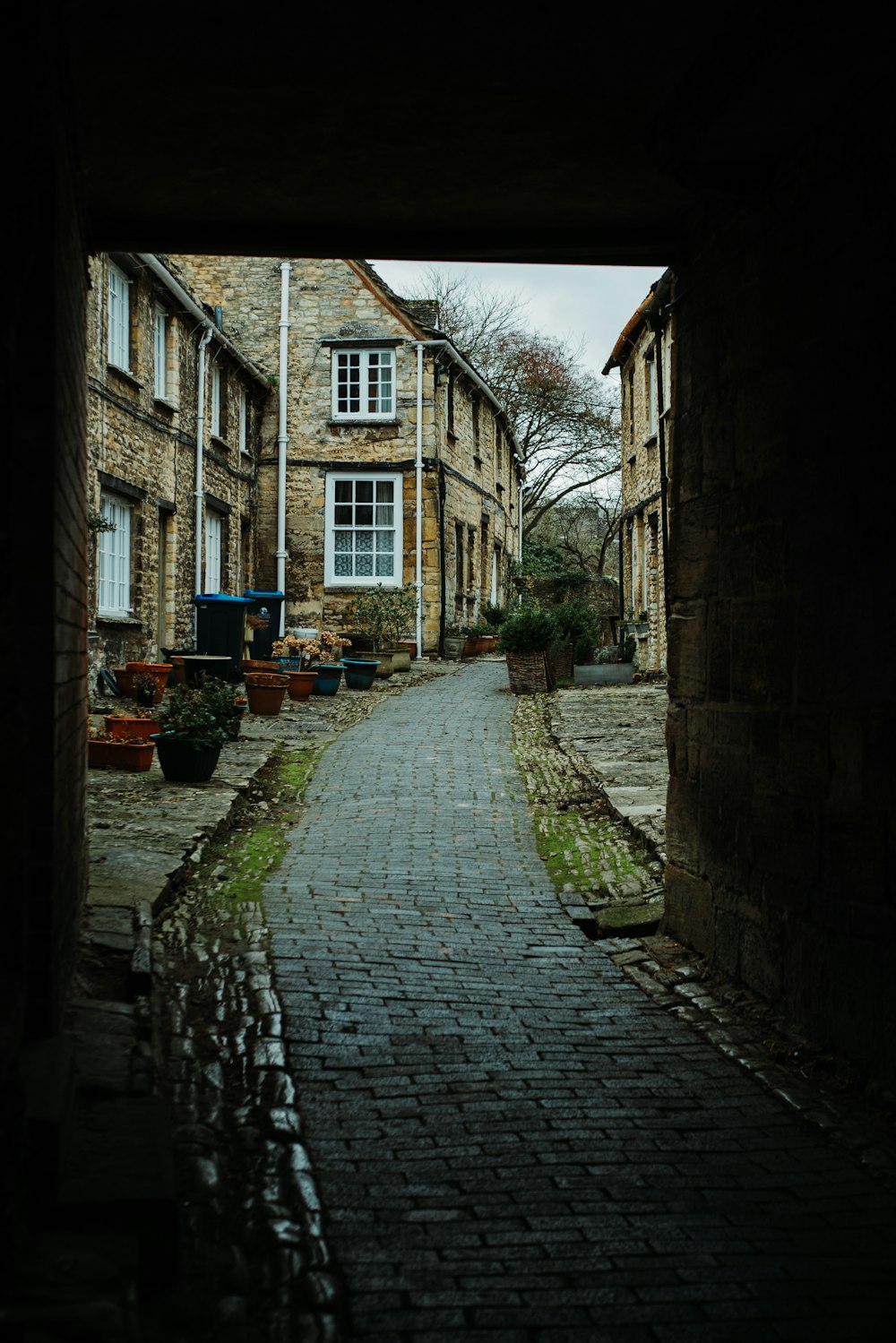 brick pathway in between concrete buildings