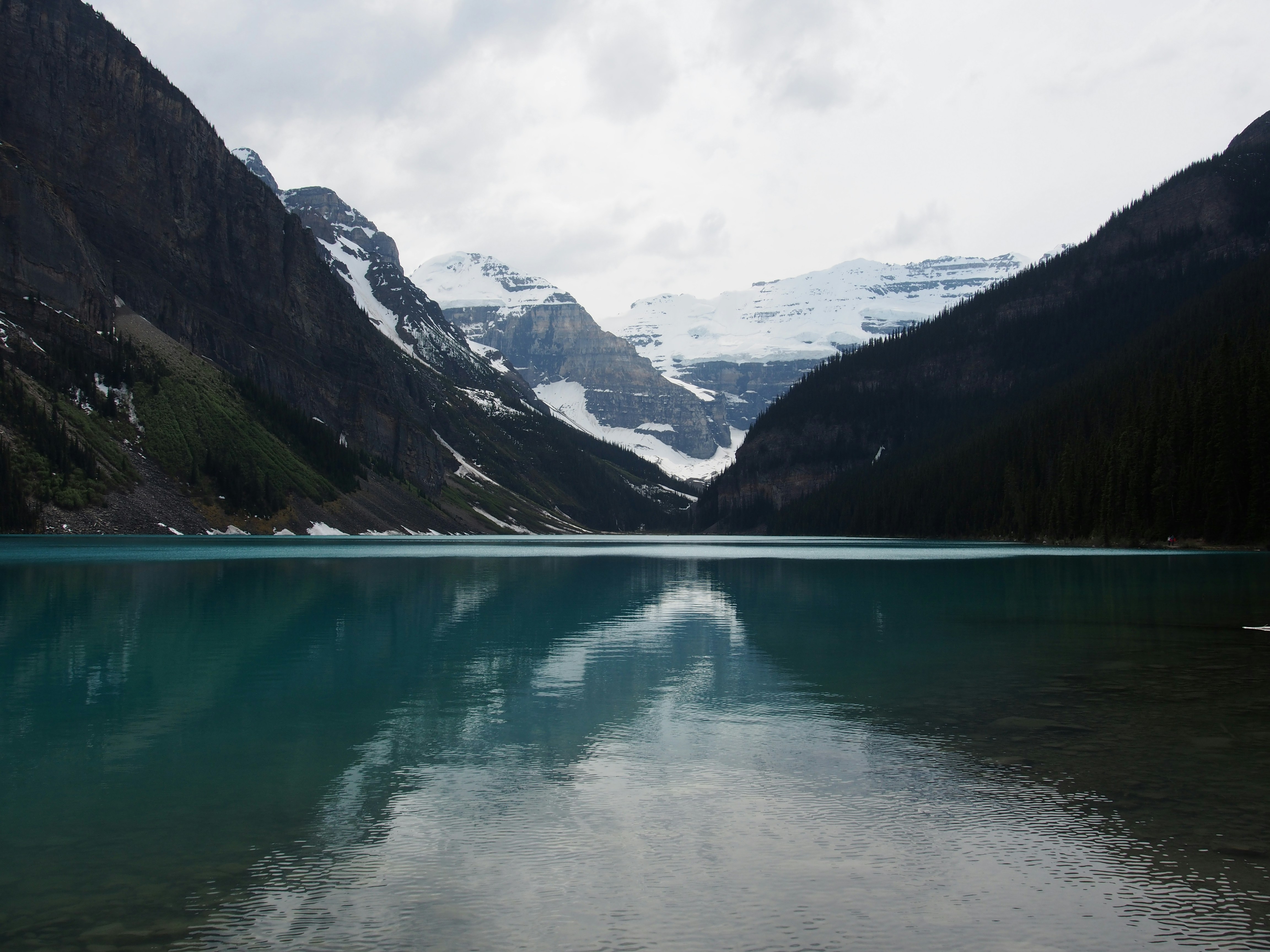 Photo by devinmcgloin