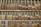 A neatly organized display of cigars in a wooden rack, with various brands and labels visible on the cigars. Each compartment contains an array of cigars, showing diverse shades of brown and different sizes. The setting suggests a retail environment for cigar enthusiasts.