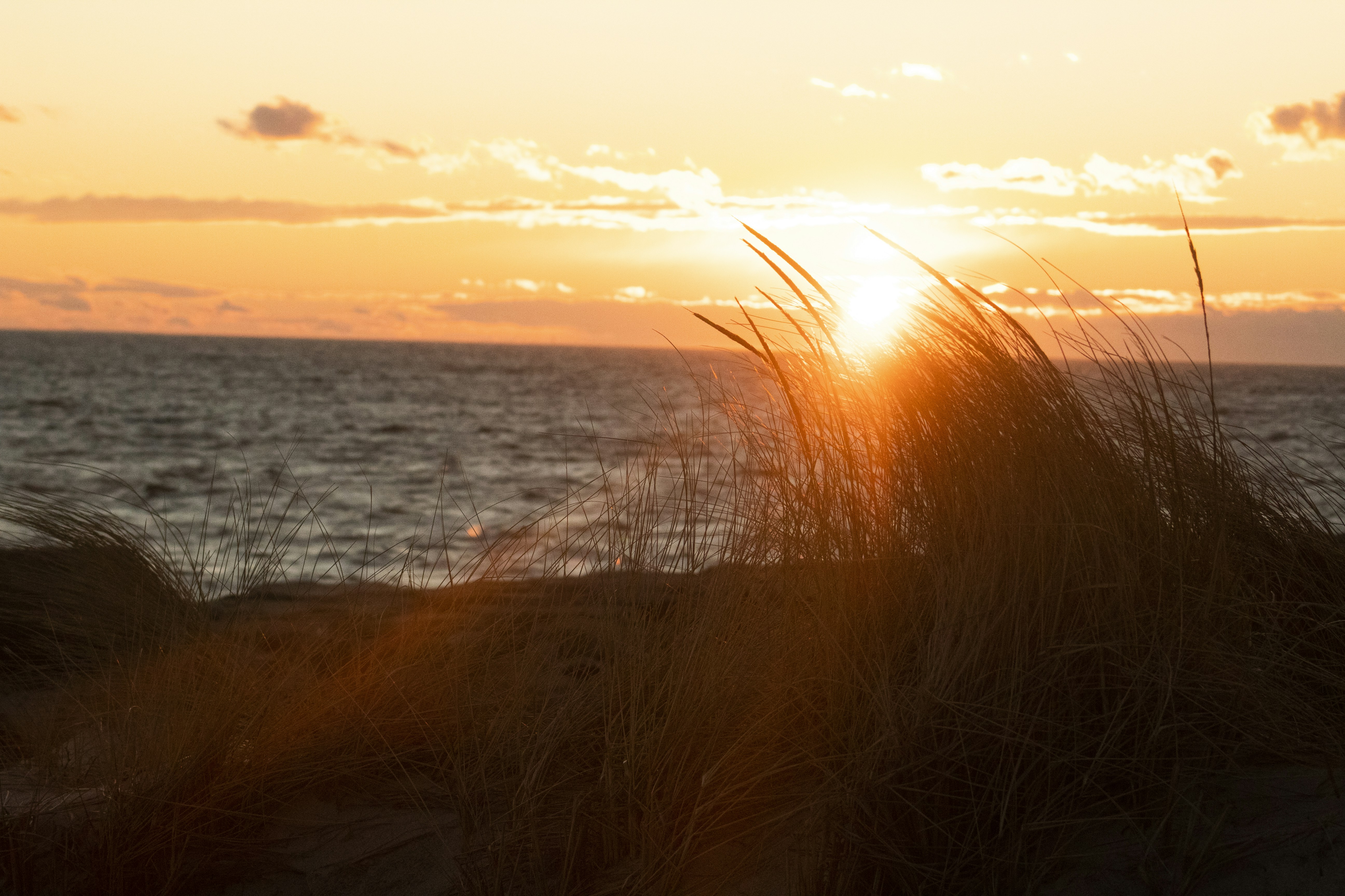 Photo by tylerohiobutler