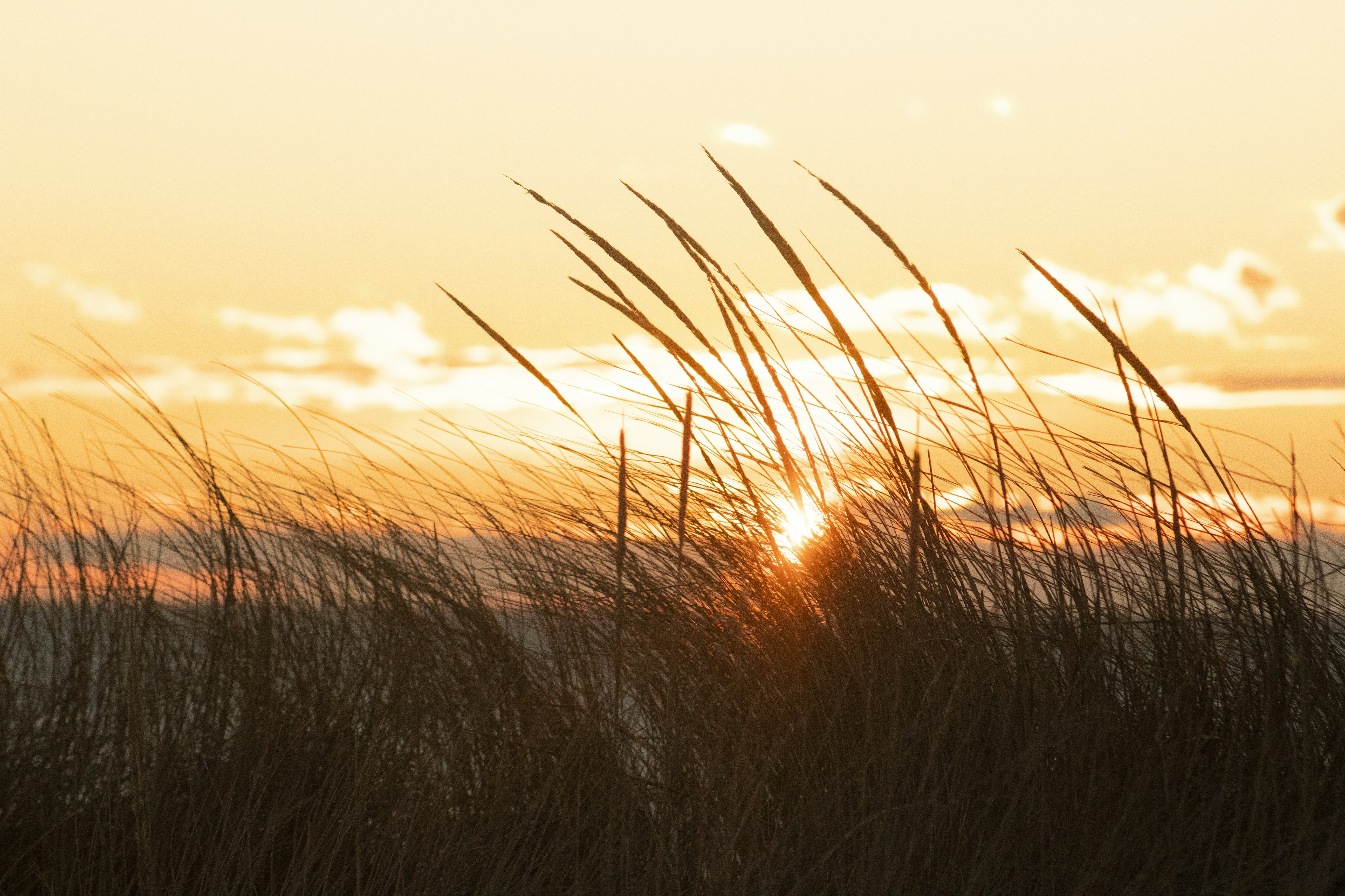 Photo by tylerohiobutler