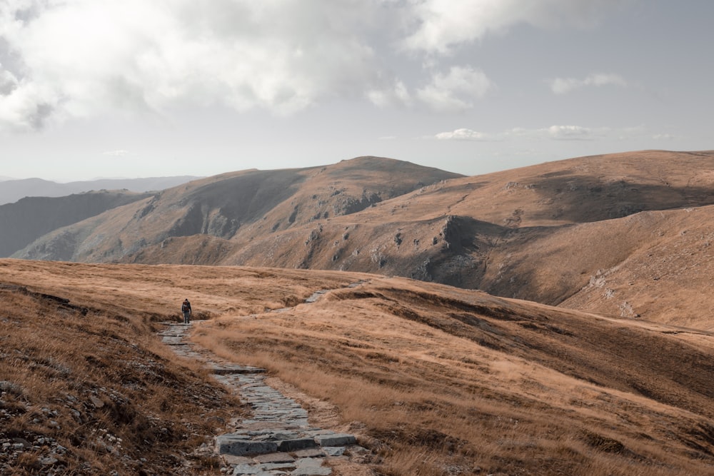 aerial view photography of person walking with mountain background