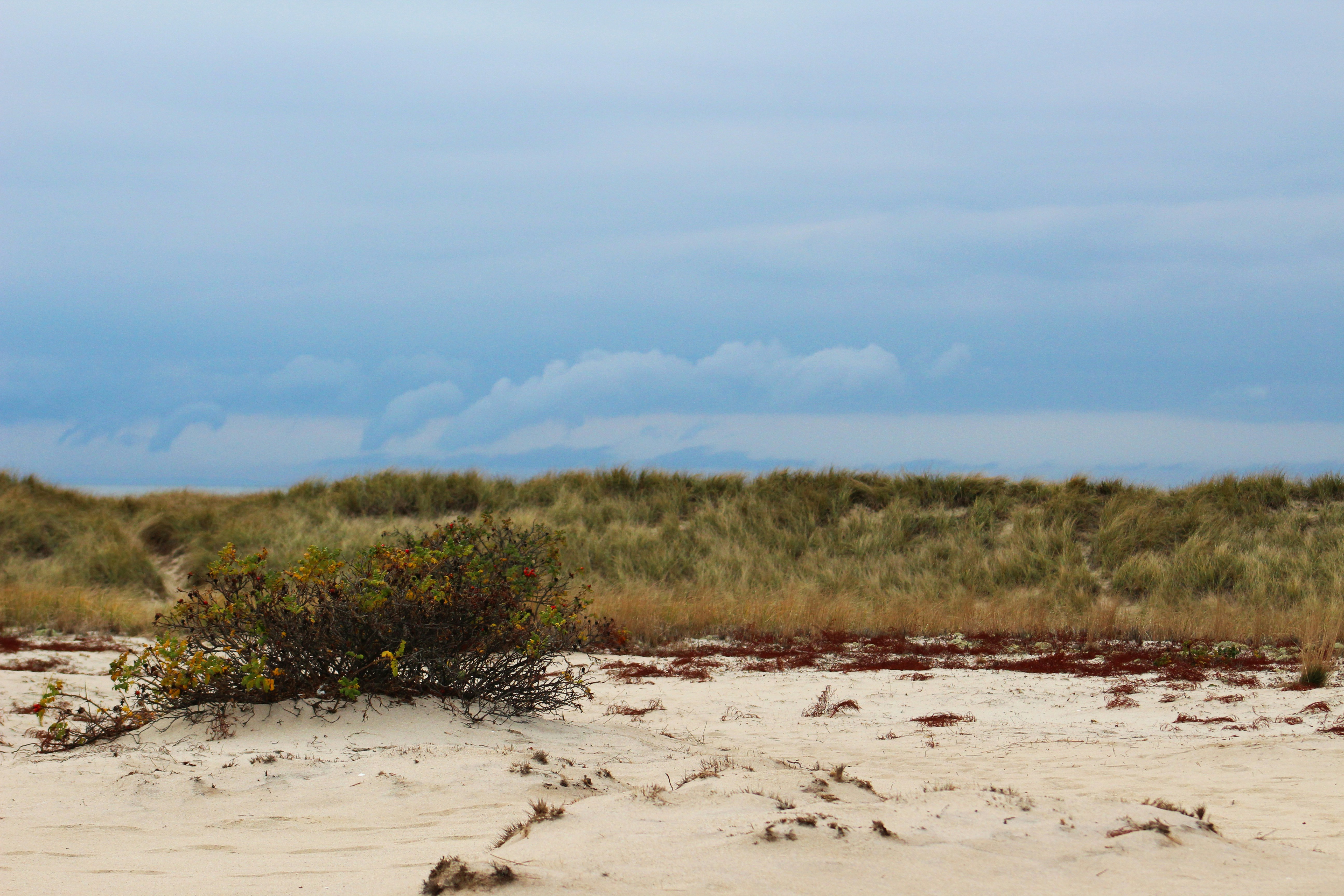 Photo by tylerohiobutler