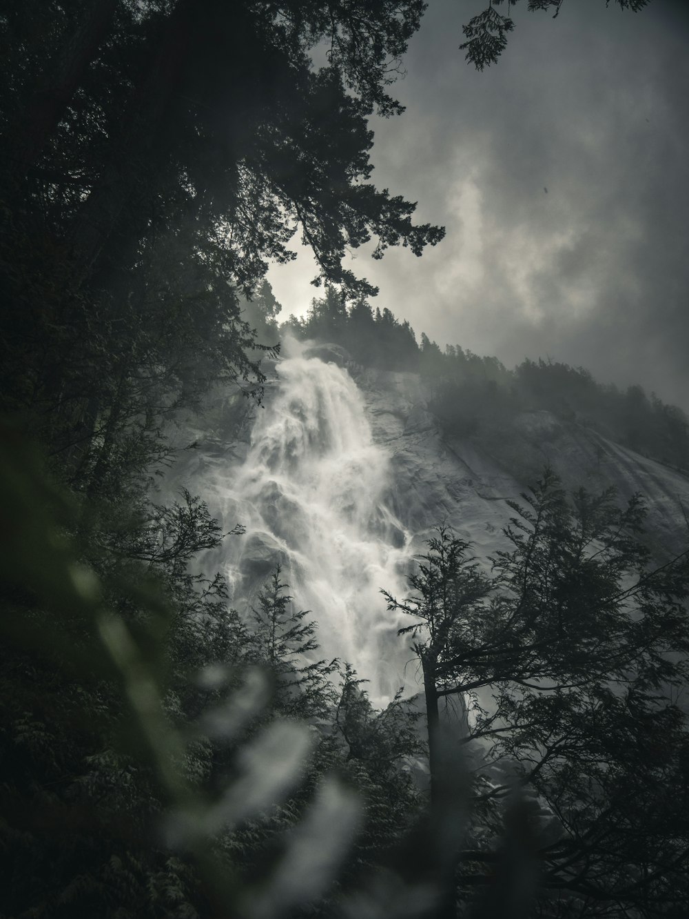 Foto en escala de grises de cascadas