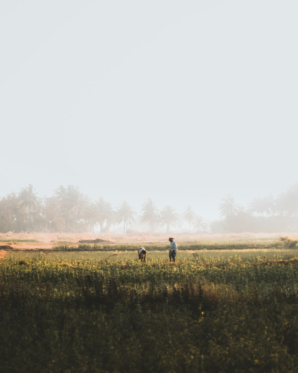 two person standing on grass field during daytime