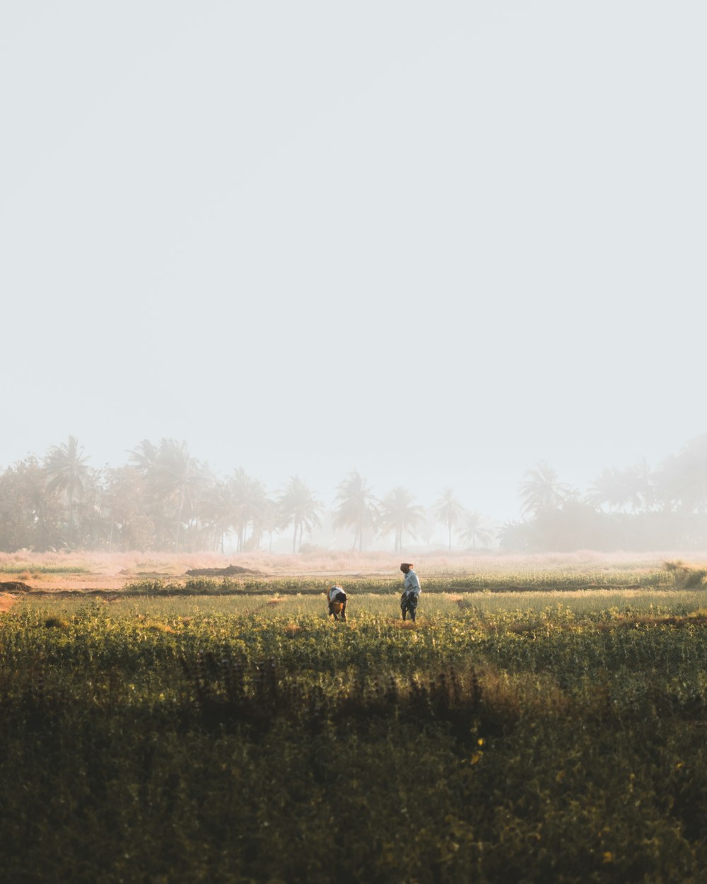 Dos personas de pie en el campo de hierba durante el día