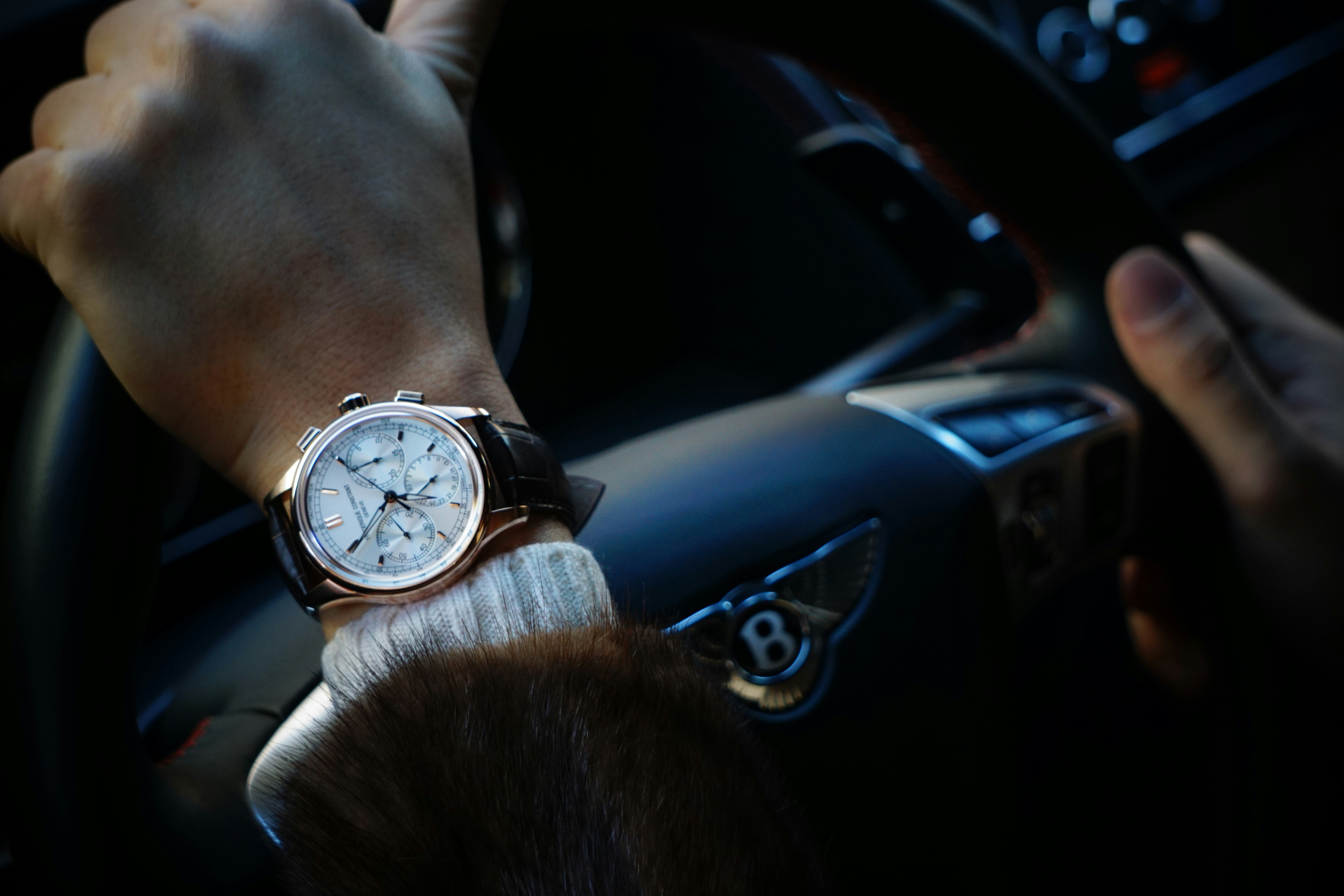 Person wearing luxury watch