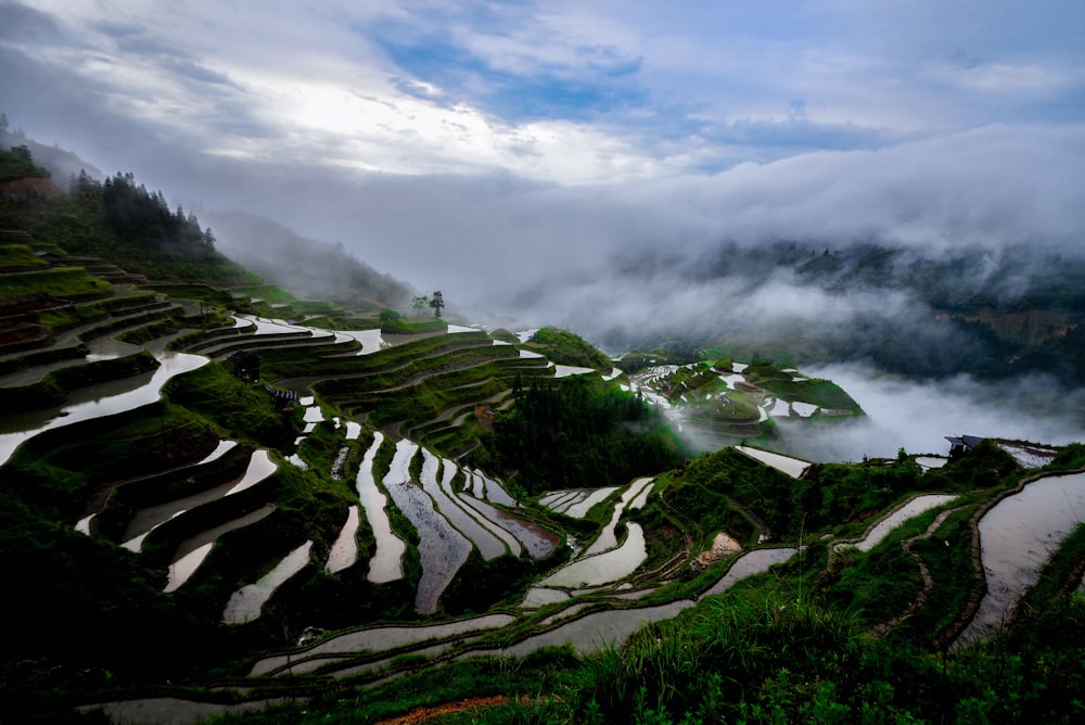 Banaue Rice Terraces