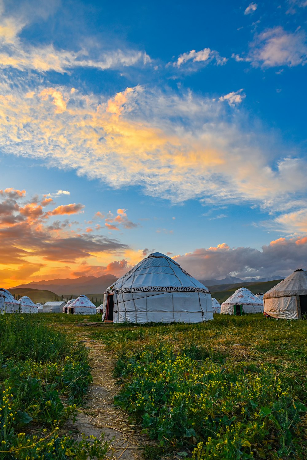 tents on green grass under cloudy sky