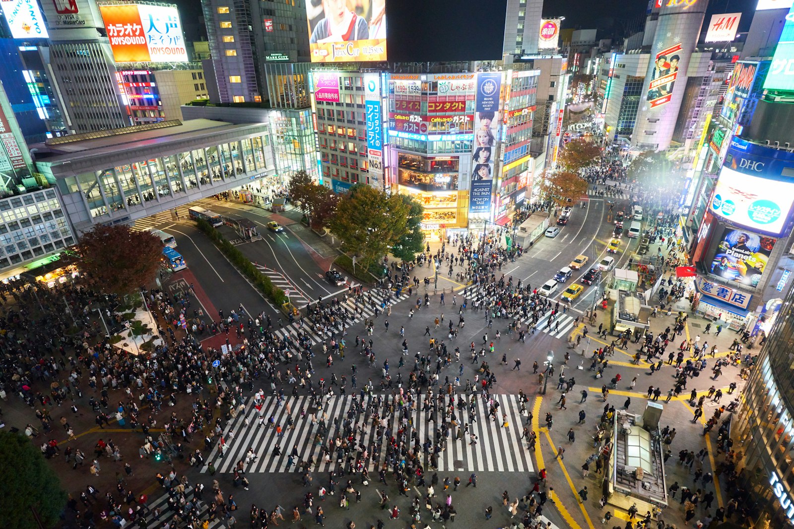 Crowds crossing Shibuya's scramble intersection at night beneath neon signs in Tokyo