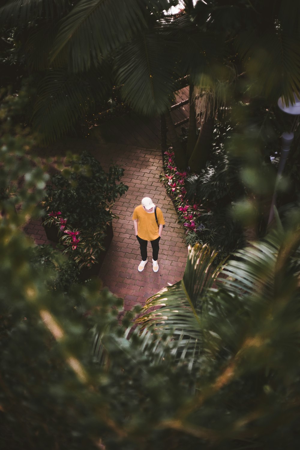 man in brown crew-neck shirt standing near green leaf plant