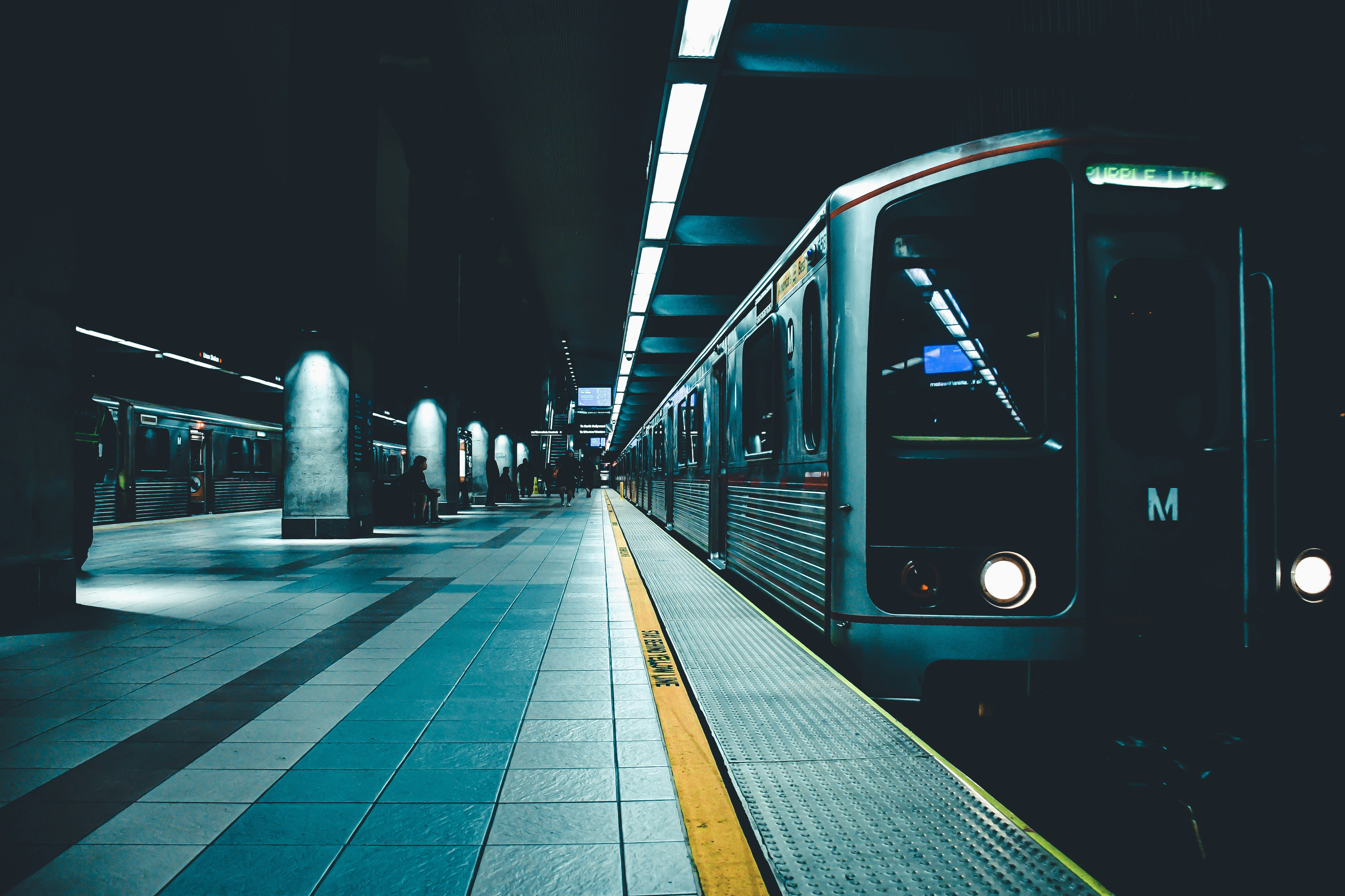 Photo by guss_bedolla