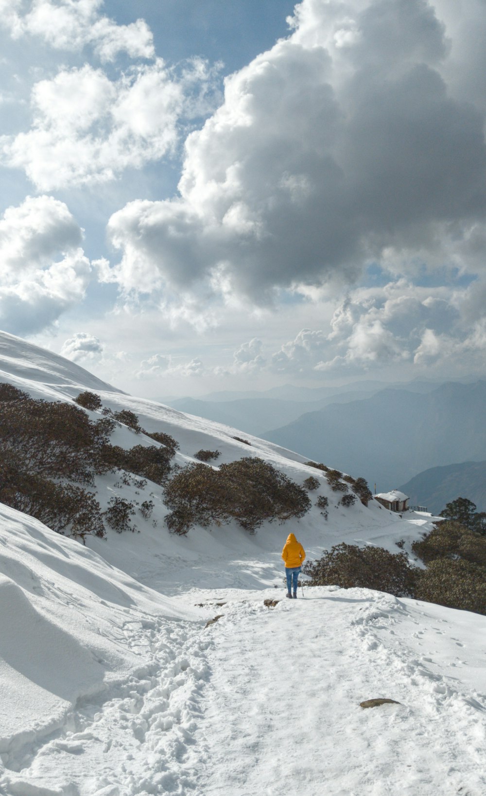 person standing on snow covered ground during daytime