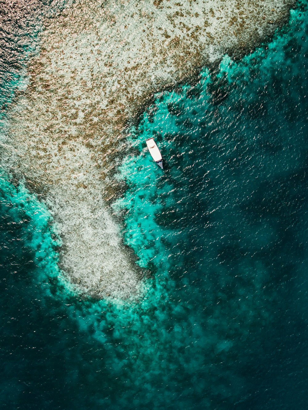 aerial photography of shore