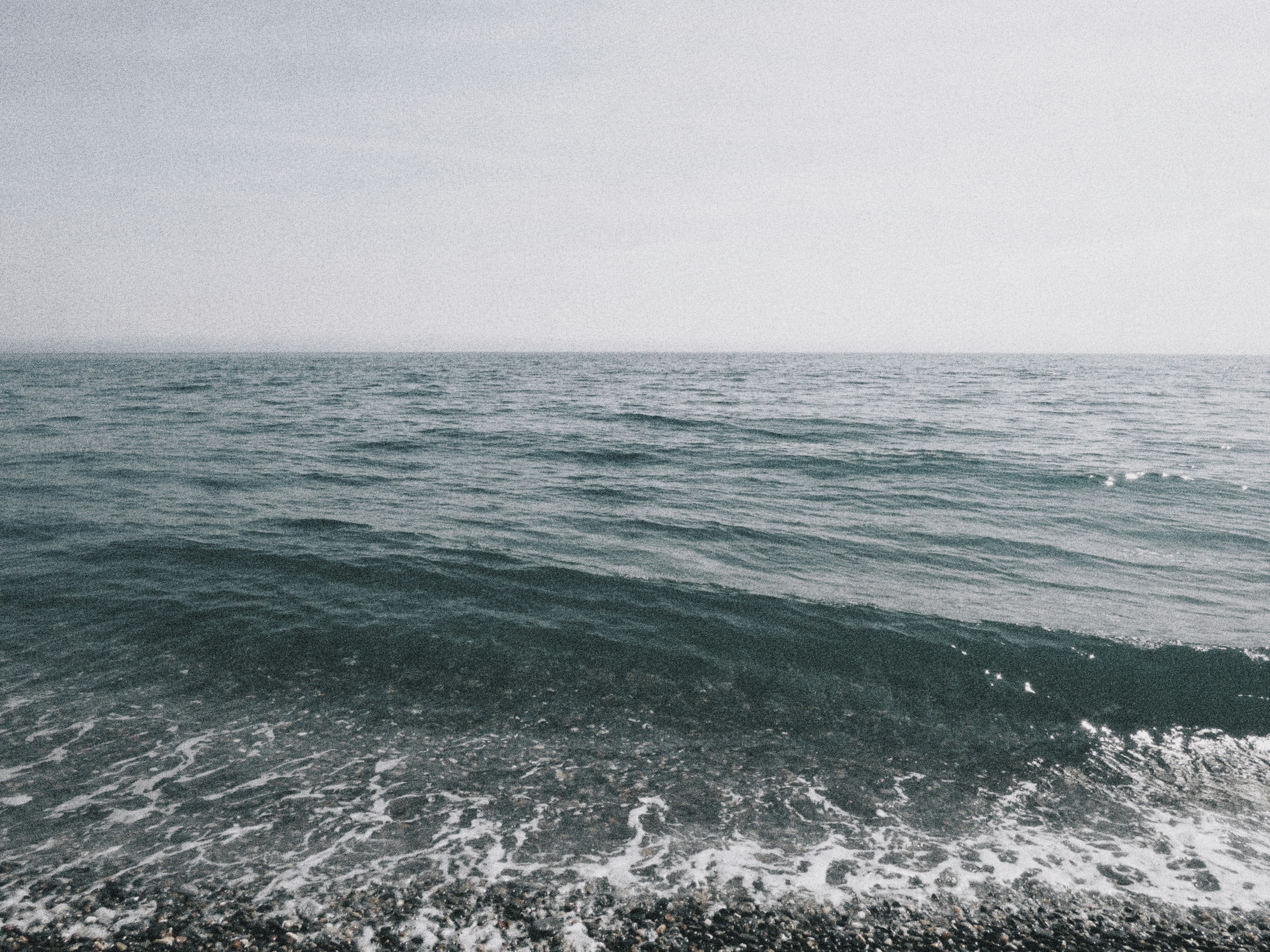 Photo by carloscoronadodr