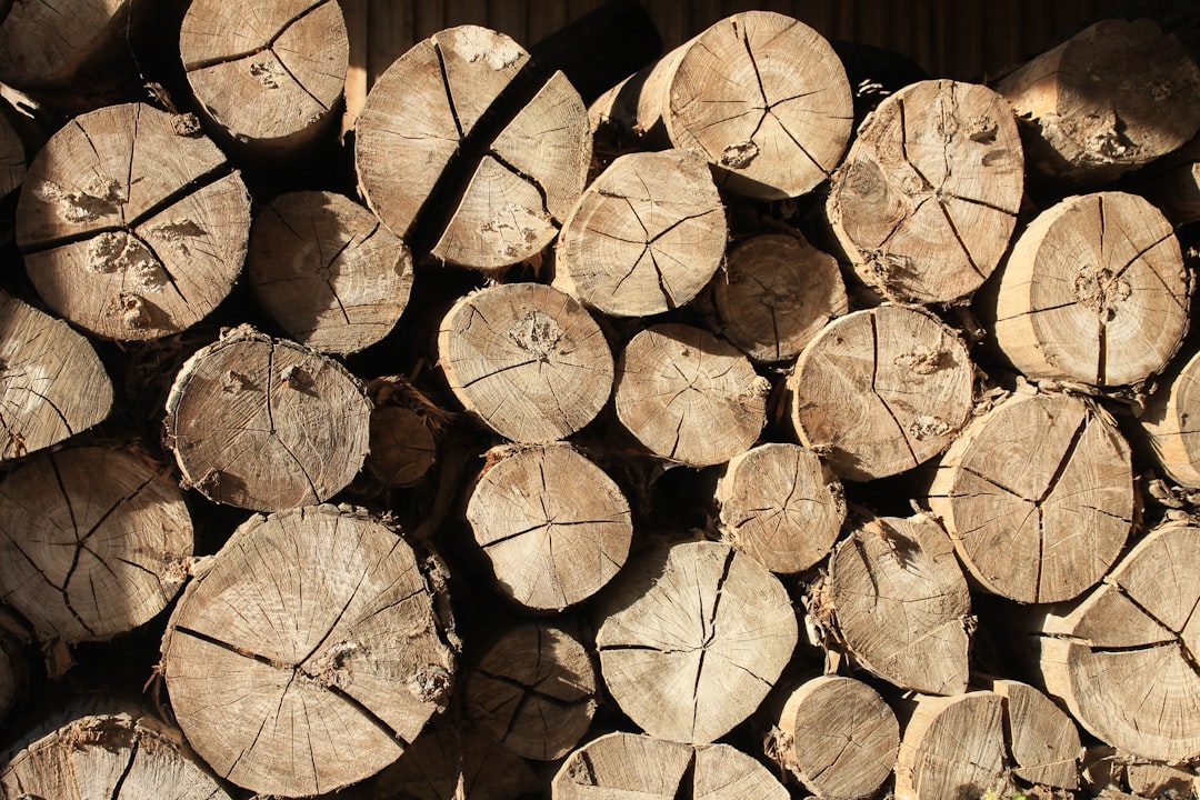 Les avantages du bois densifié : tout savoir