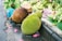 A variety of fresh fruits displayed on a market stall. In the foreground, two jackfruits, one ripe and brown, the other green, are positioned on a dark surface. Surrounding them are several bunches of bananas and other fruits scattered with pink petals on the ground.
