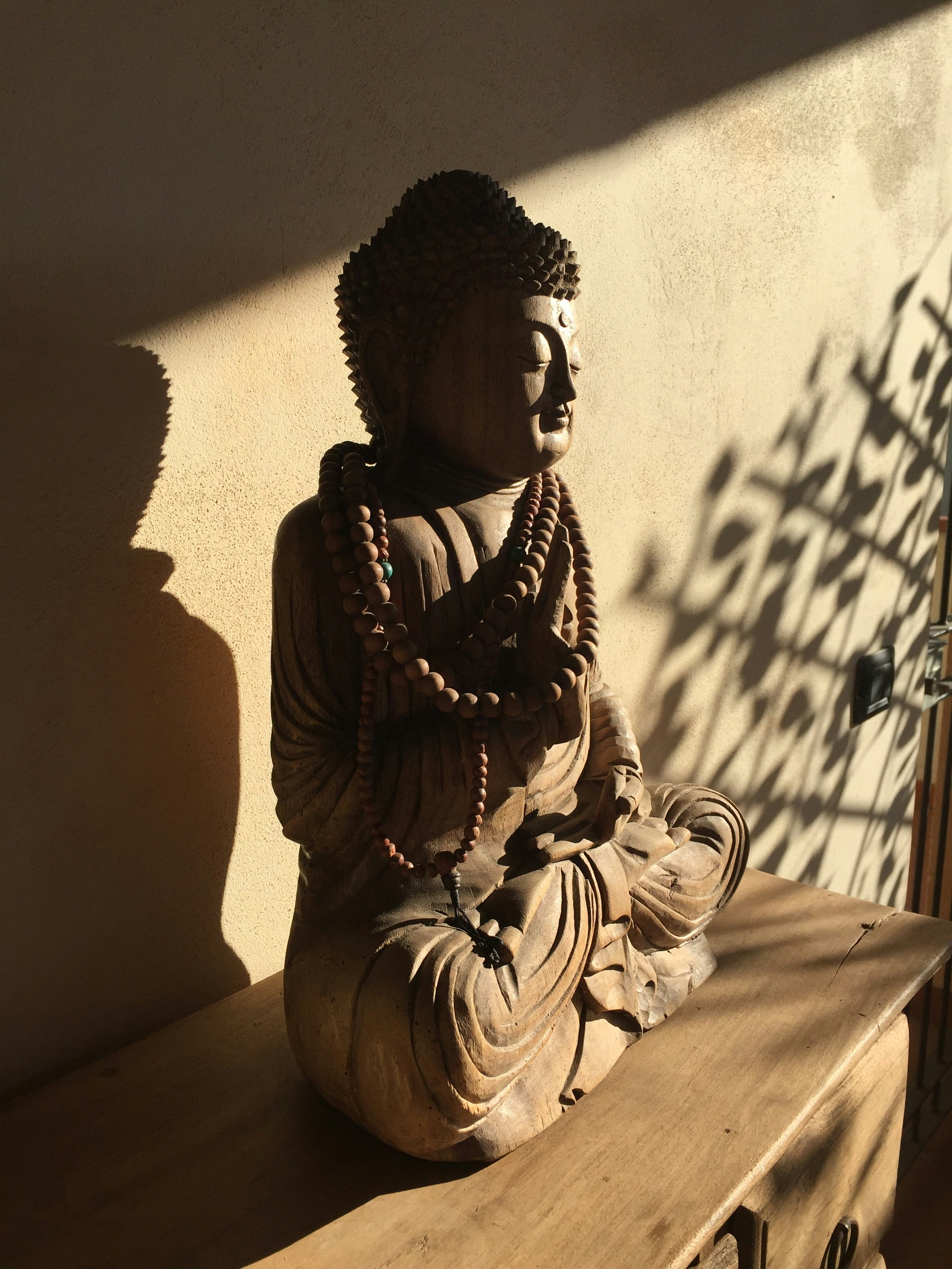 Buddha Wisdom Hoodie