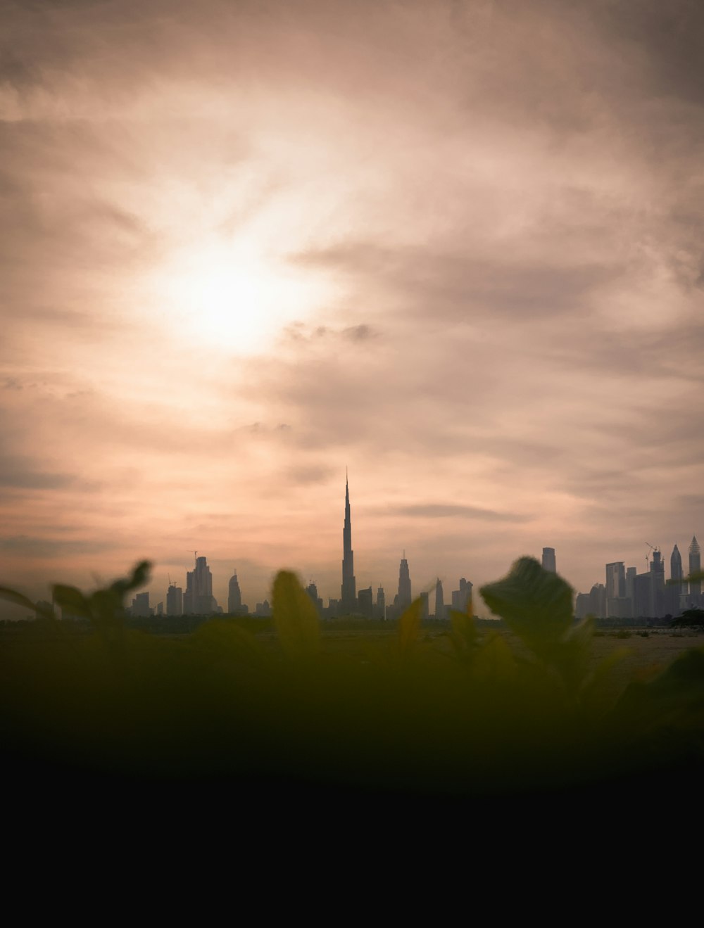 plantas de folhas verdes com vista para o Burj Khalifa durante o dia