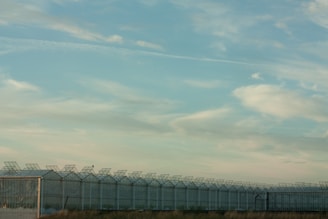 A series of large, industrial greenhouses with glass panels and a wire fence surround a vast area beneath an expansive, partly cloudy sky. The structure is situated in an open field, indicating an agricultural or botanical setting.