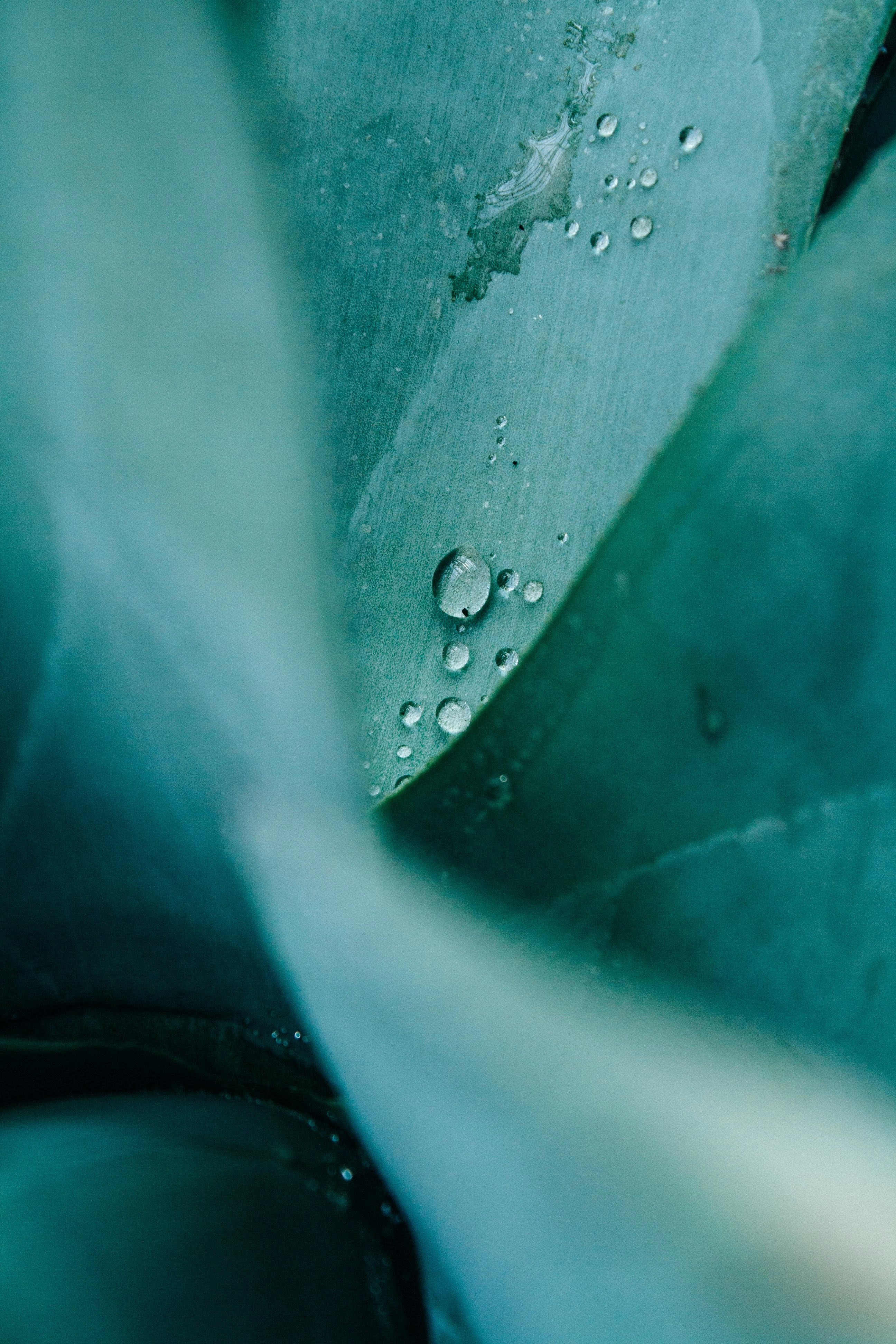 Photo by onmywayhome