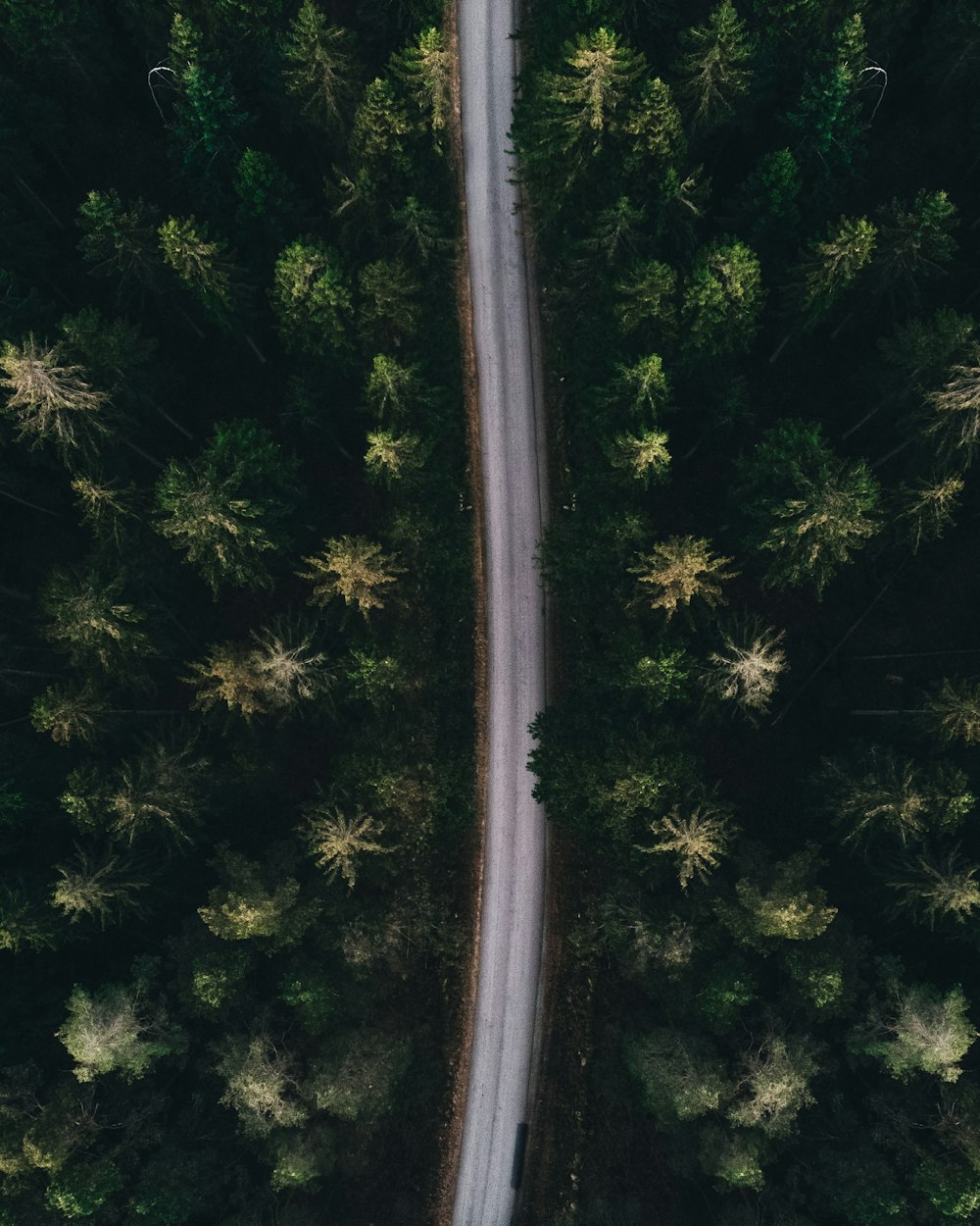 aerial photography of road