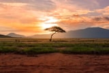 Great Migration calendar guide