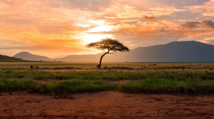 RD Congo