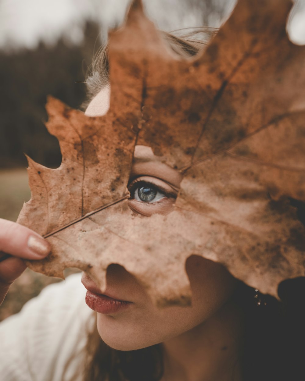 brown leaf