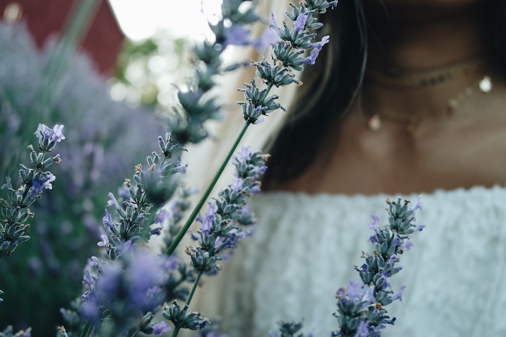 selective photo of purple and white flower