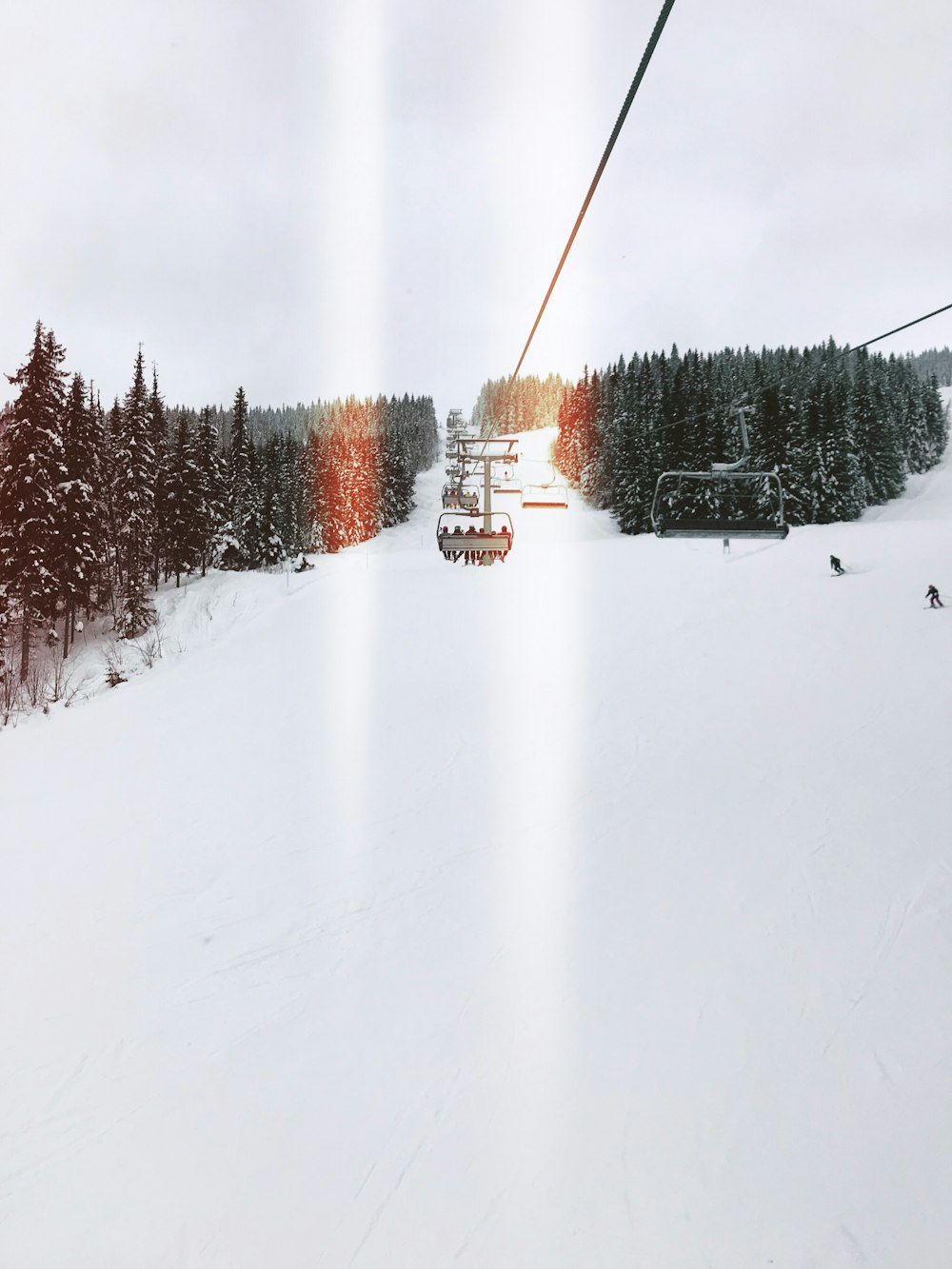 cable cars over snow covered grounds