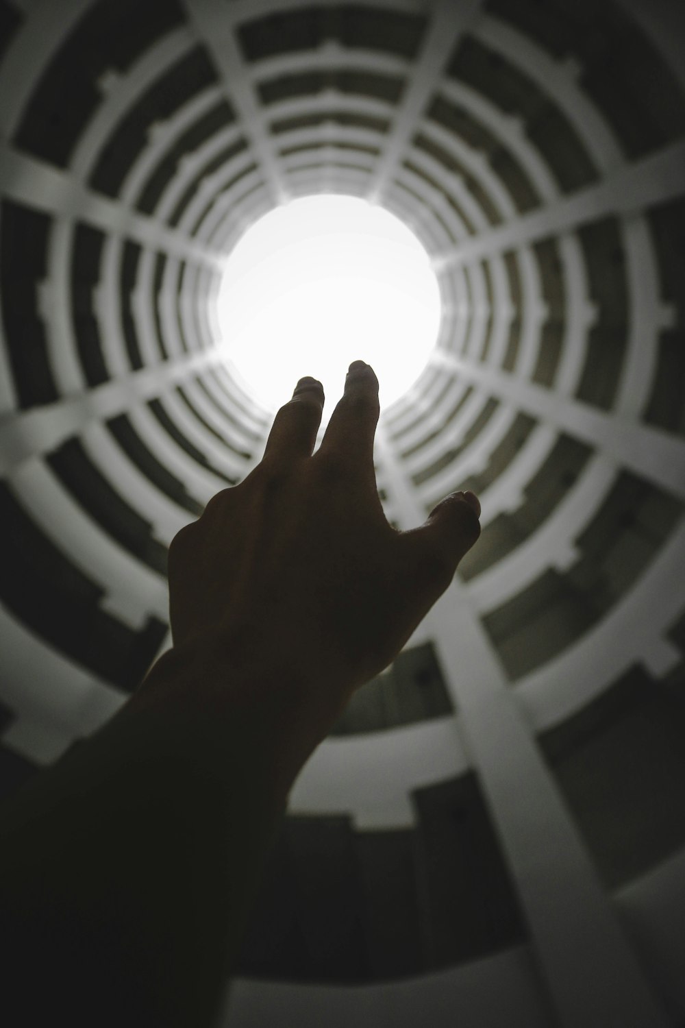 person raising hands through the light