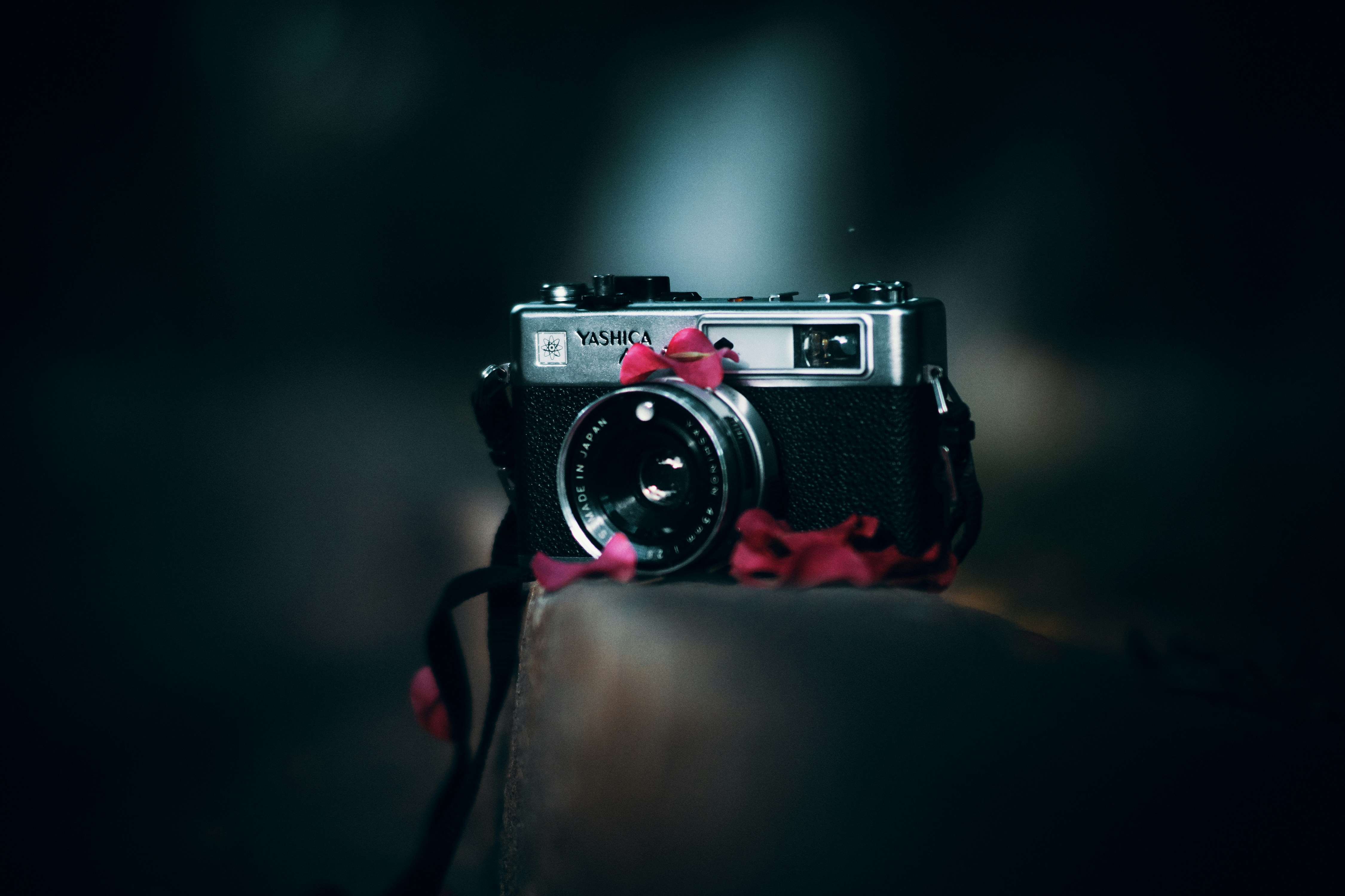 vintage camera wallpaper, wallpaper, Android Phones with 0.5MP Cameras 5