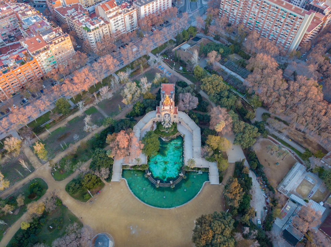 aerial photo of buildings and trees during daytime