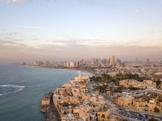 aerial view photography of city beside body of water