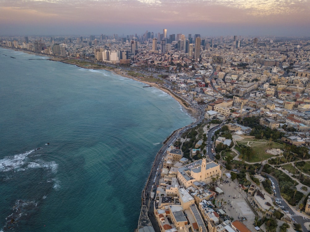 aerial photo of city by the sea