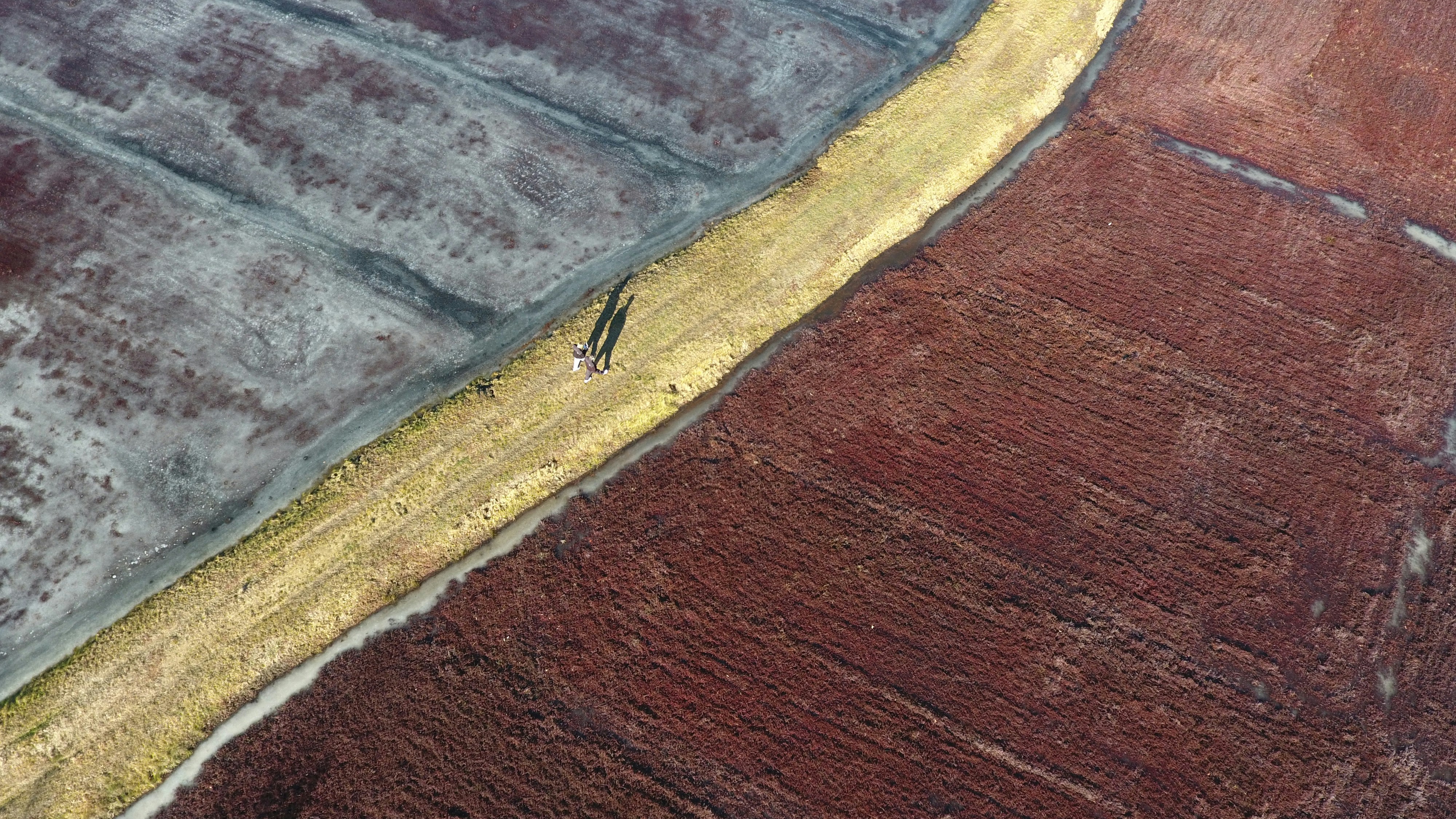 brown and yellow painted concrete pavement