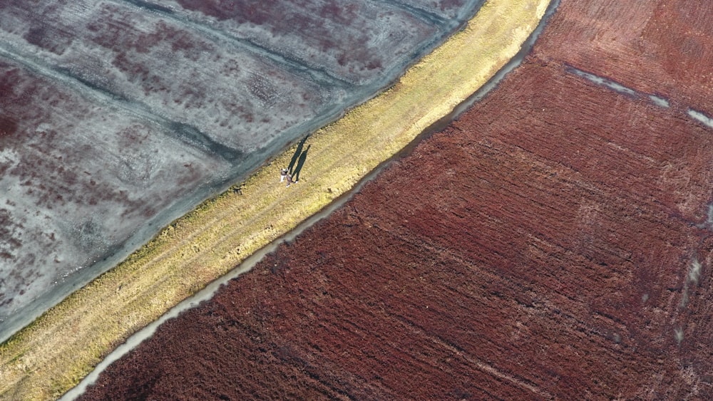 brown and yellow painted concrete pavement