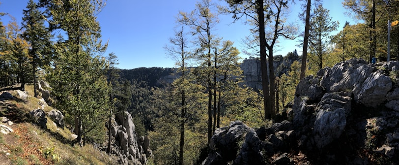A scenic landscape featuring a forested area with a mix of evergreen and deciduous trees. Rocky cliffs and large boulders are prominently visible in the foreground. The background includes a vast woodland stretch that extends into the horizon under a clear blue sky.